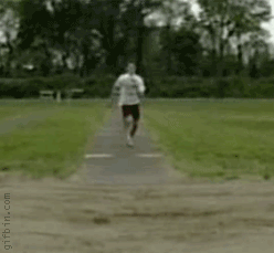 GIF - 895 ko