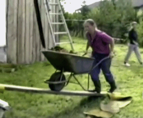GIF - 948.2 ko