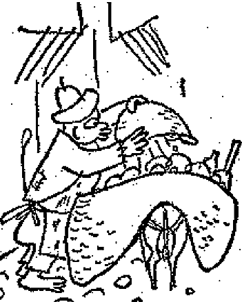 PNG - 43.3 ko