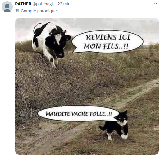 PNG - 334.3 kio