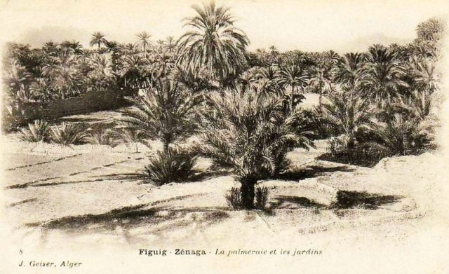 Figuig 031