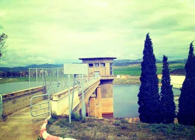 10402881_1441864846068098_3159748792008674544_n